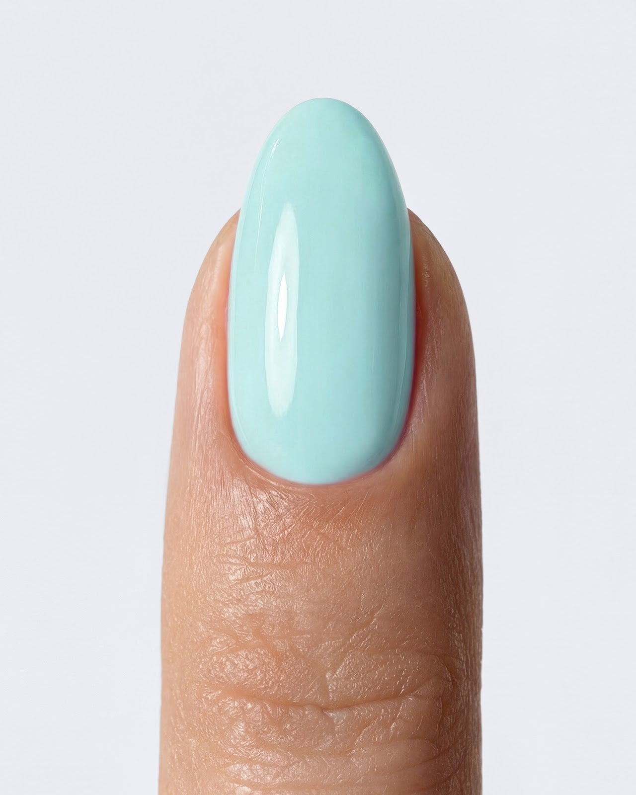 Shellac Palma an der Hand