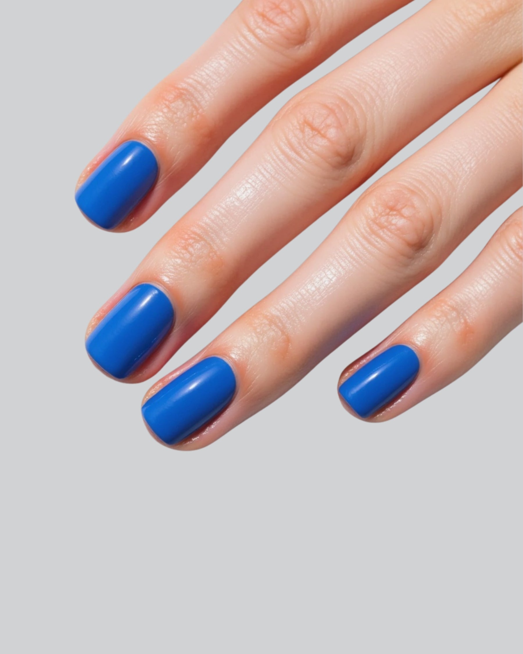 Indigo Dream