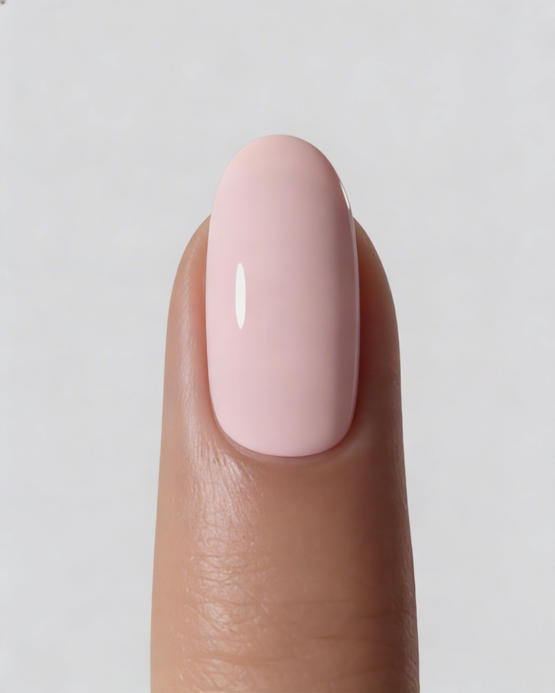 Shellac Mademoiselle
