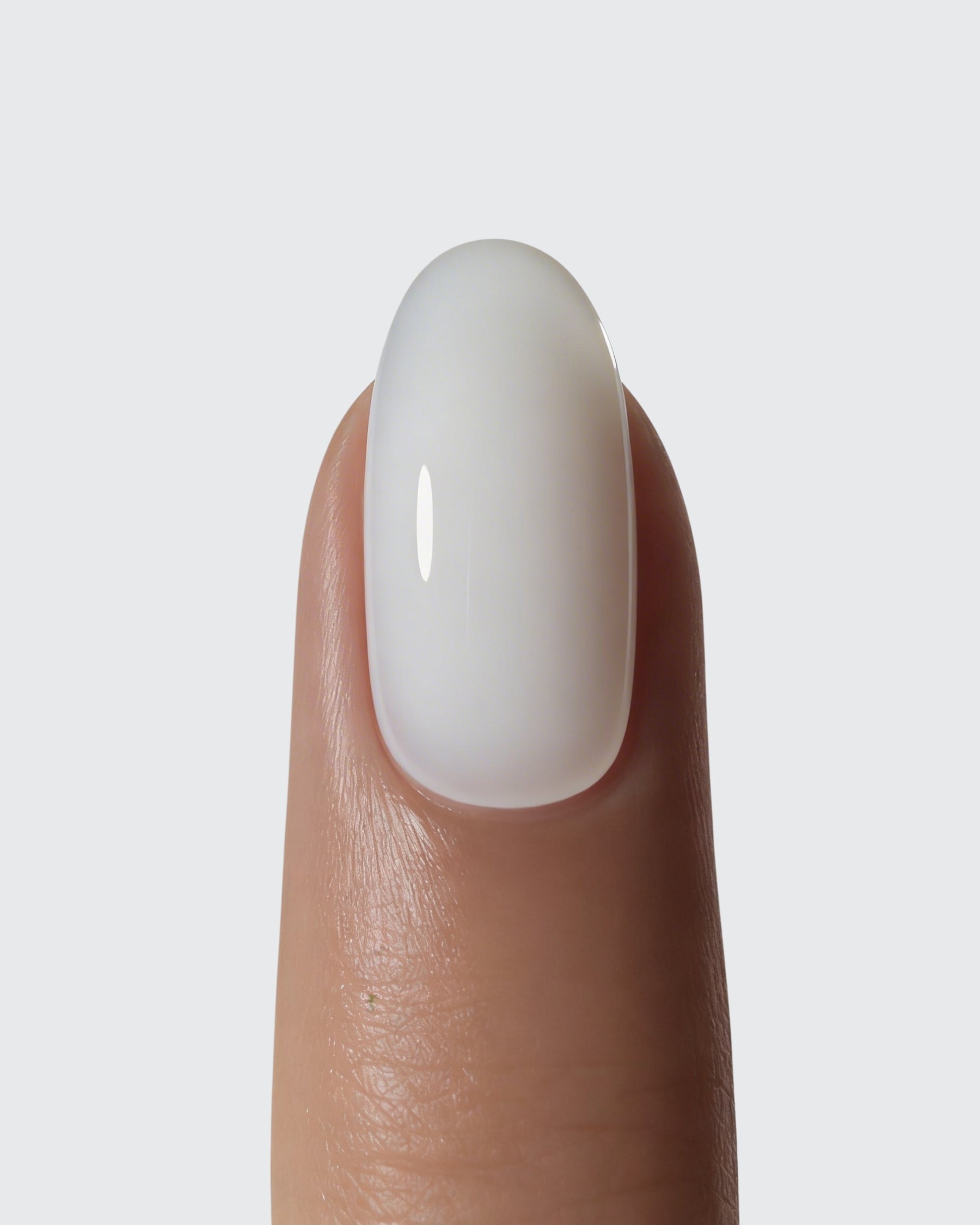 Shellac Natural White