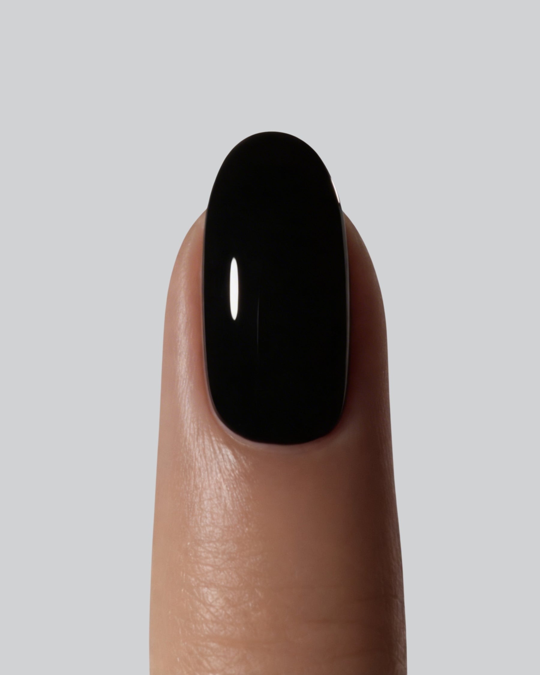 Shellac Black