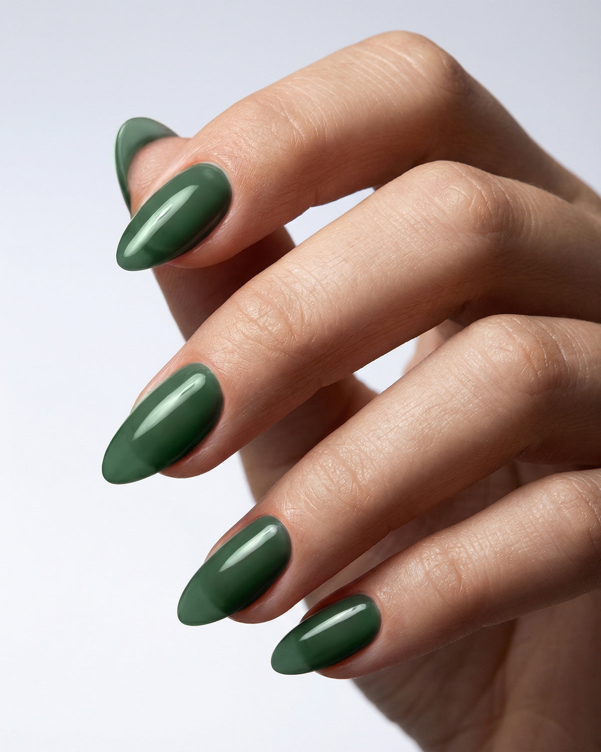 Shellac Forest