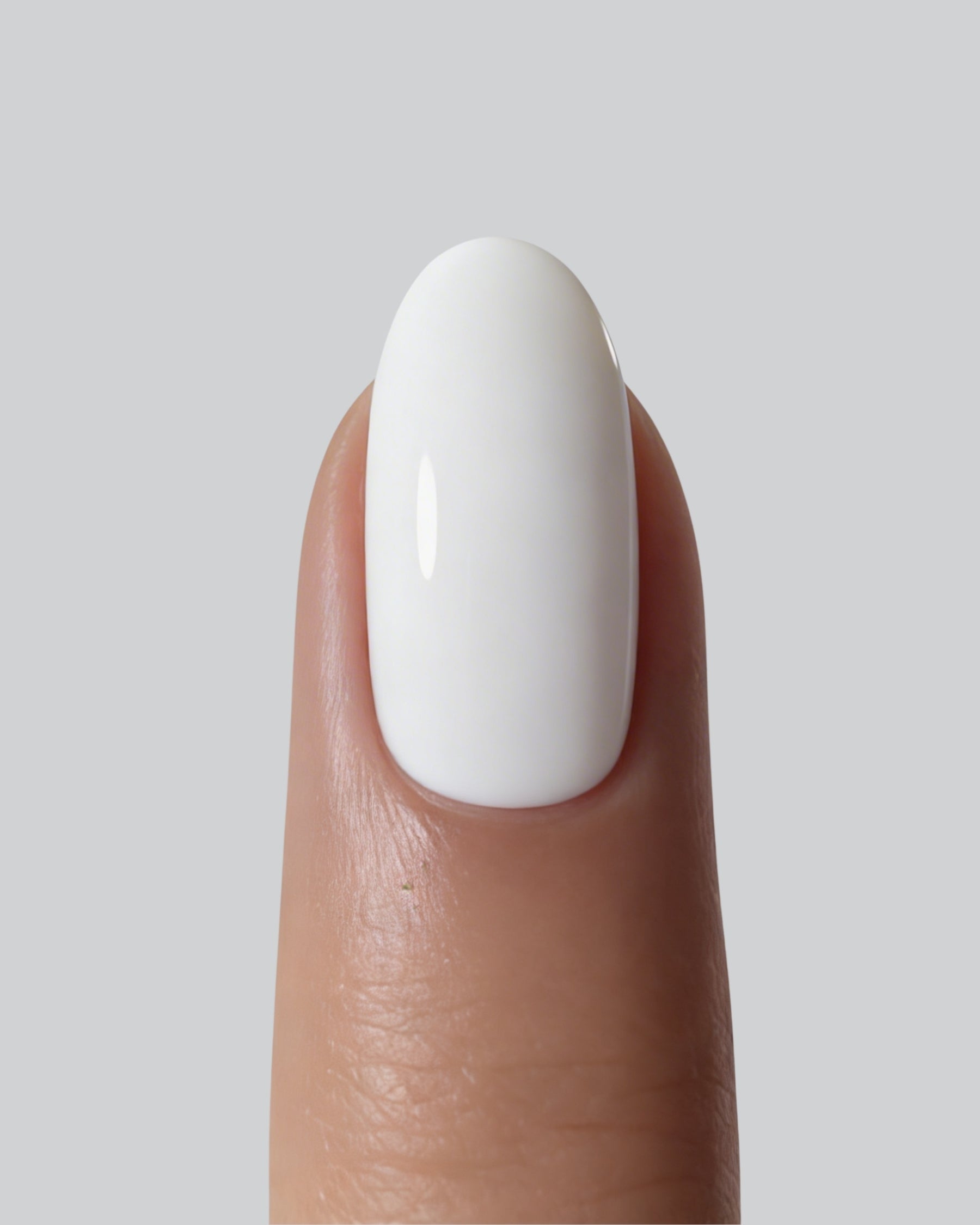 Shellac White