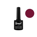 lilaque Colour Coat mademoiselle who 8,5ml