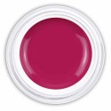 Farbgel Gypsy Fuchsia