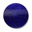 Farb-Acryl Pulver - Nr. 24 blue violett shine