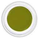 Farbgel Acid Green - Grün metallic Farbgel für deine kreative Nailart