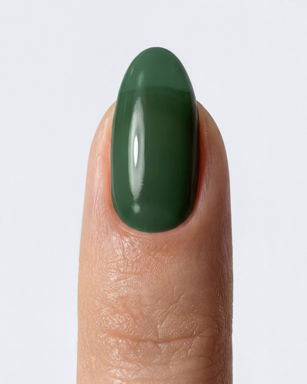 Shellac Forest